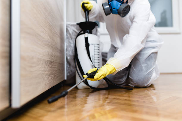 Professional Pest Control in Bossier City, LA