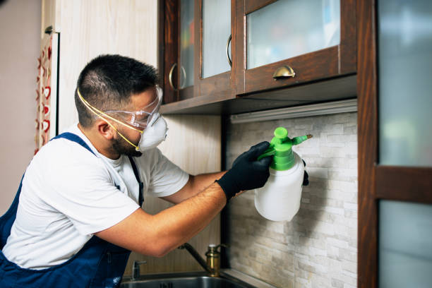 Best Bed Bug Extermination  in Bossier City, LA