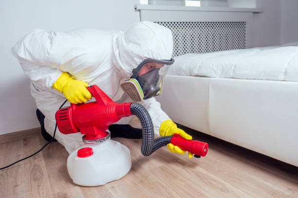 Pest Control Cost in Bossier City, LA