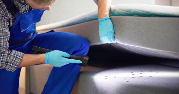 Best Cockroach Control Services  in Bossier City, LA