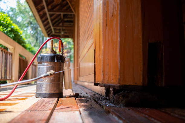 Best Wasp Removal Services  in Bossier City, LA