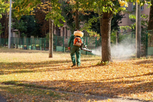 Best Pest Control Treatment  in Bossier City, LA