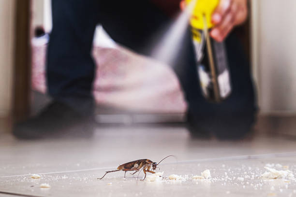Best Pest Prevention Services  in Bossier City, LA