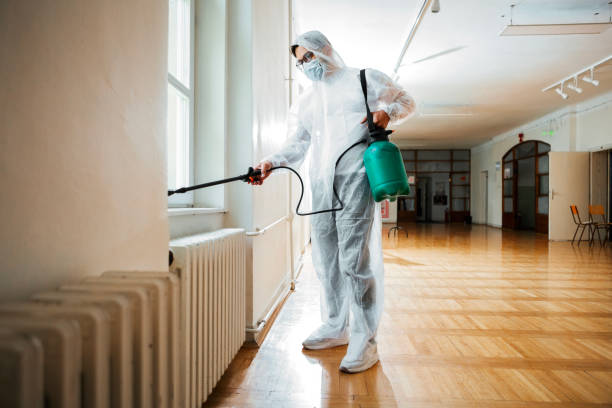 Best Local Pest Control Services  in Bossier City, LA