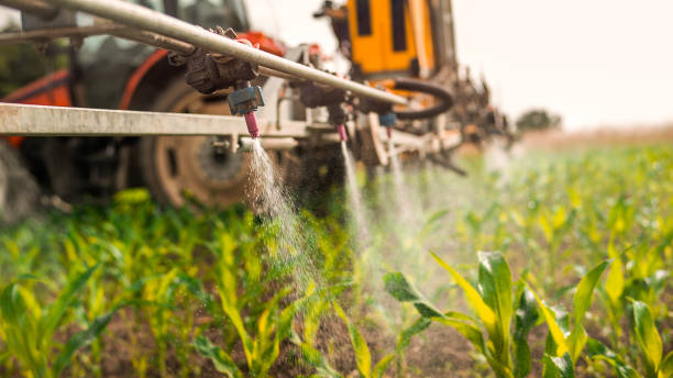 Best Insect Control  in Bossier City, LA