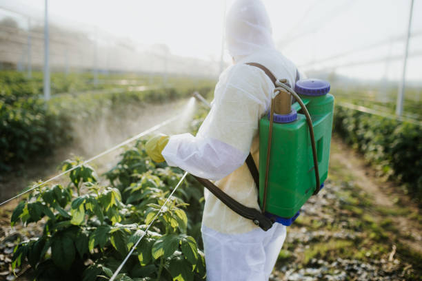 Best Emergency Pest Control  in Bossier City, LA